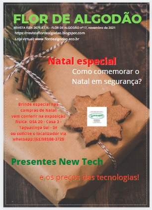 Esta é a capa da revista nº 17, novembro de 2021.